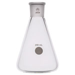 A PLUS Jointed Erlenmeyer Flask 250ml, 24/29