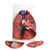 RVFM Larynx, Heart and Lungs Model