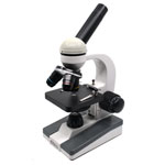 Microscopes and Magnifiers
