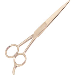 Eisco Dissecting Scissors - Straight Style - 110mm - Stainless Steel