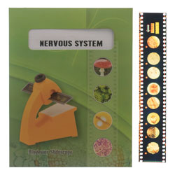 Eisco Microslide – Nervous System (Set of 10)