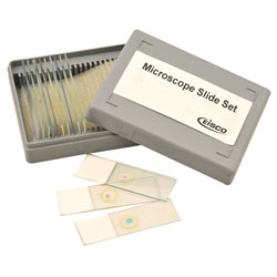 Eisco BI0278 - Beginners Microscope Slide Set of 12