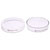 Glassco Petri Dish With Lid 80mm dia, Pack of 10
