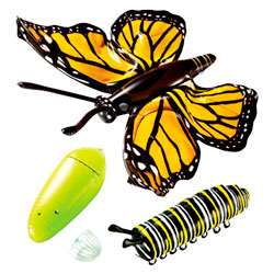 Giant Inflatable Butterfly Cycle Set4