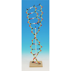 Cochranes Of Oxford DNA-RNA Orbit Kit - 146 Piece Set - Assembled Height 500mm