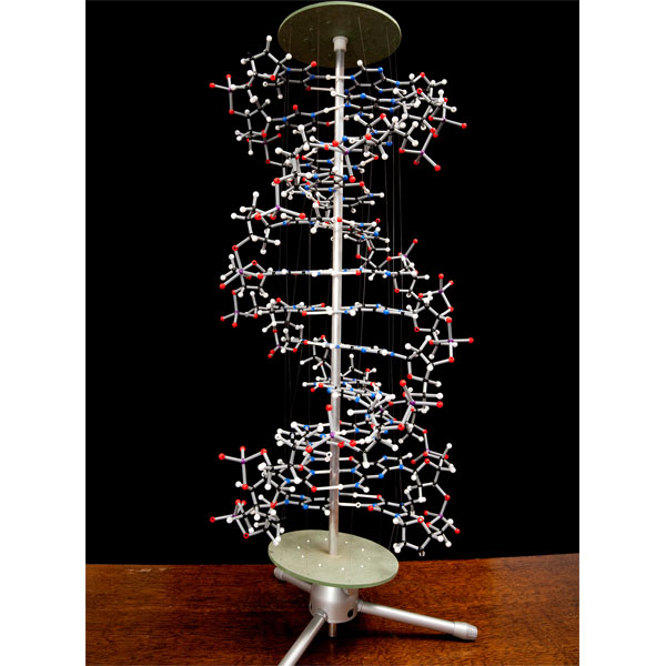 Cochranes Of Oxford Orbit Proview DNA Model - 750 Atoms - Assemble...