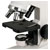 Celestron 44121-CGL Optical Microscope - Beginners Kit