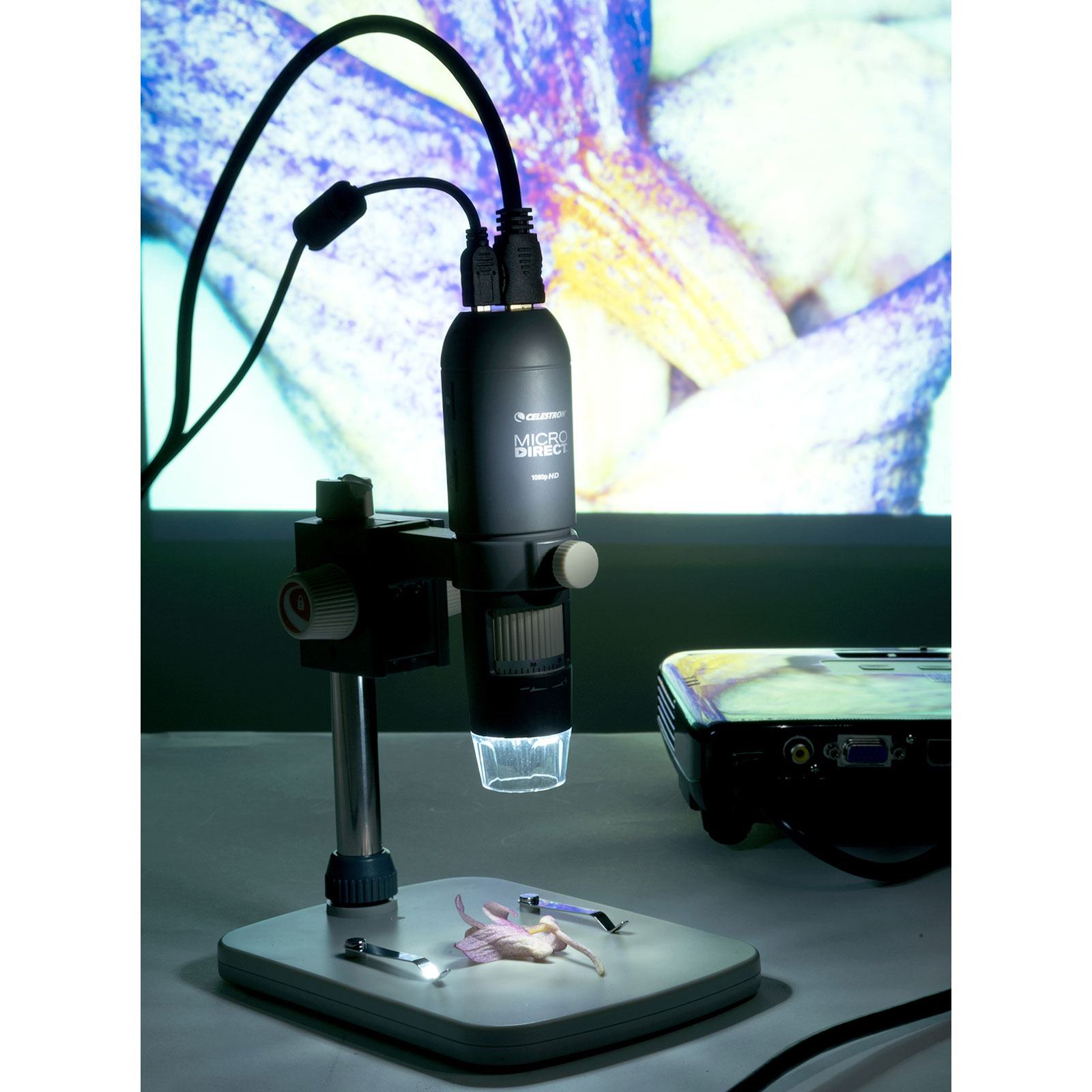 Celestron 44316-CGL MicroDirect 1080p HD Handheld Microscope