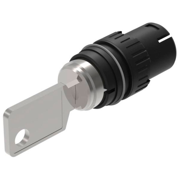  61-2101.0/D Series 61 Keylock Switch-Actuator 2 P Neutral Momentary