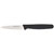 Kitchen Craft KCPAR3DISP24 Display of 24 7.5cm Stainless Steel Paring Knives