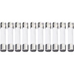 ESKA 632.608 Quick Blow Micro Fuse 6.3 x 32mm 125mA 250V, Pack of 10
