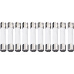 ESKA 632.707 Time Delay Ceramic Micro Fuse 6.3 x 32mm 100mA 500V, Pack of 10