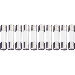 ESKA 522.719 Time Delay Fuse 5 x 20mm 1.6A 250V, Pack of 10