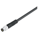Binder 79 3805 52 08 Male 8 Pin Moulded Terminal 8 x .25mm2 PUR 2m Cable