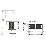 WAGO 231-132/001-000/105-604 Male MCS-MIDI 2P 5mm THR Straight Solder Pin