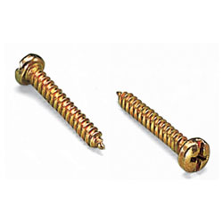 WAGO 209-196 Spare Fixing Screw for 709-167 pack of 25