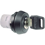 Rafi 1.30076.721 Key Switch Round 2 x 40° (0)