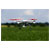 Blade 350 Qx2 3.0 Quadcopter Rtf Including Gps