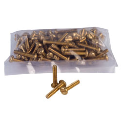 Schneider Electric 3747168 Brass Pan Head Machine Screws M4 x 20mm (Pack of 100)