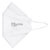 Bolisi BS-9501L FFP2 / KN95 Particle Filtering Half Mask - Single