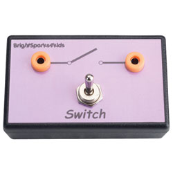 Brightsparks4Kids Toggle Switch Module