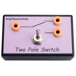 Brightsparks4Kids Two Pole Switch Module