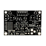 Rapid RKAmp4 Stereo Audio Amplifier PCB