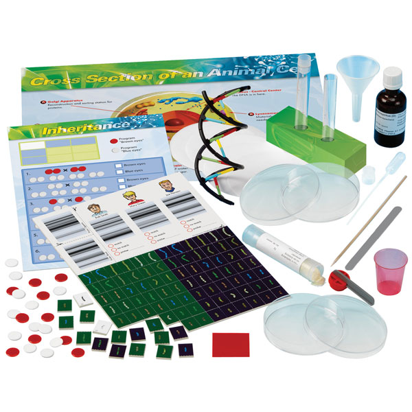 Image of Thames &amp; Kosmos Genetics &amp; DNA Experiment Kit