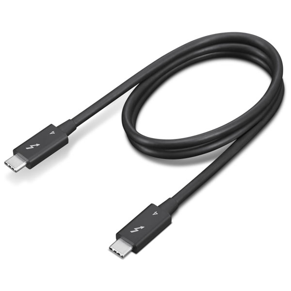 Lenovo 4X91K16968 4X91K16968 Thunderbolt cable 0.7 m 40 Gbit/s Black
