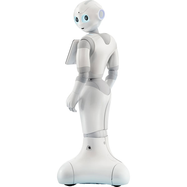 pepper humanoid robot price