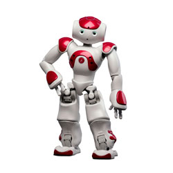 NAO Robot Academic Edition Red