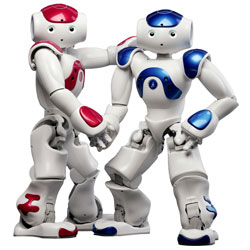 NAO 1 Year Warranty Extension (V5 robots only)