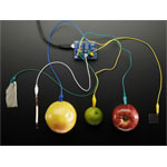 Adafruit 2024 12 x Capacitive Touch Shield for Arduino - MPR121