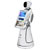 Alpha Robotics Amy Plus AI Service Robot