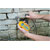 ETI 224-070 7000 Moisture Meter