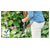 Bosch 06008C1A71 EasyGrassCut 18V-230 Cordless Grass Trimmer 18V (1 x 2.0Ah)
