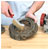Sealey WB05/R Wire Brush Brassed Steel Plastic Handle
