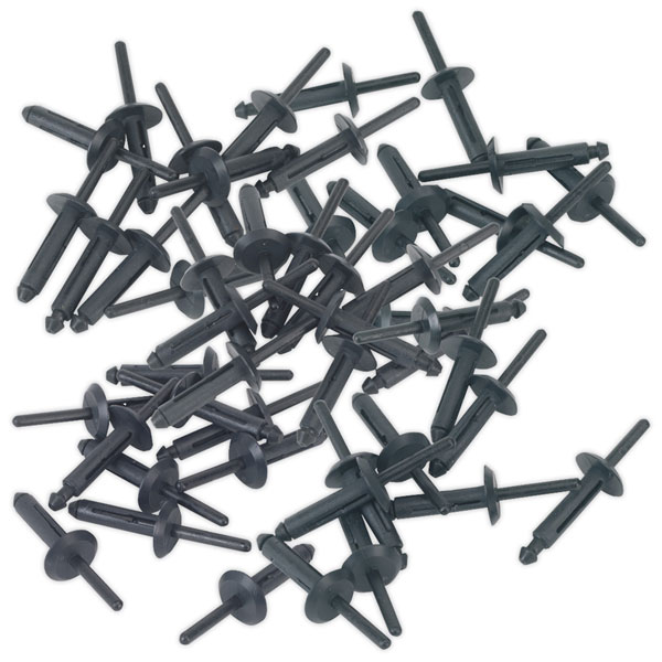 Sealey PR002 Plastic Rivet 6.3 x 25.2mm Pack of 50