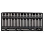 Sealey TBT11 Tool Tray with Ribe/spline/hex/security Trx-star Bit Set 60pc
