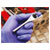 Sealey AK6960 Ratchet Wrench Micro 1/4Sq Drive Stainless Steel