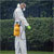Sealey SS2 Pressure Sprayer 5ltr
