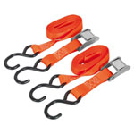 Sealey TD2525CS Cam Buckle Tie Down 25mm x 2.5m Poly Webbing - S Hooks 250kg