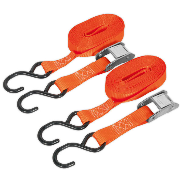 Sealey TD2550CS Cam Buckle Tie Down 25mm x 5m Polyester Webbing with S Hooks 250kg Load Test