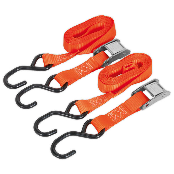 Sealey TD05025CS Cam Buckle Tie Down 25mm x 2.5m Polyester Webbing with S Hooks 500kg Load Test