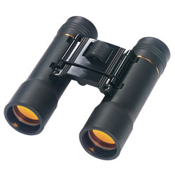 Draper 79528 12 X 25 Binoculars