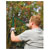 Draper 28210 Lopper, Shears and Secateur Set (3 Piece)
