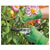 Draper 82616 Light Duty Gardening Gloves