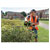 Draper 32319 500mm Petrol Hedge Trimmer (22.5cc)