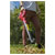 Sealey CB20VCOMBO2 Leaf Blower Cordless 20V with 2Ah Battery & Charger