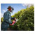 Sealey CHT20V 520mm Hedge Trimmer Cordless 20V - Body Only